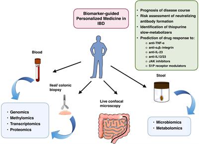 Molecular medicine-based IBD treatment strategies—we take it personally!